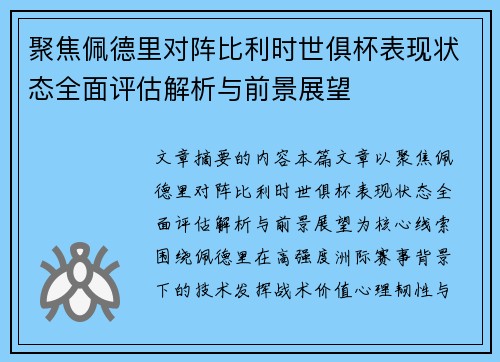 聚焦佩德里对阵比利时世俱杯表现状态全面评估解析与前景展望